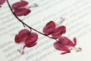 dried-flowers-with-printed-text-3309967
