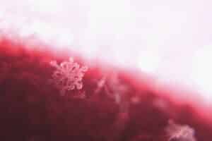 selective-focus-photography-of-snowflakes-192926