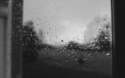 What Should I Do If My Employer Does Not Have Workers’ Compensation Insurance?