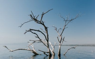 Custody Agreements – Knowing What To Include