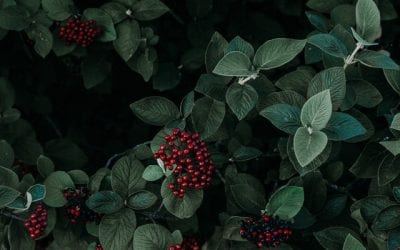 Ways to Divorce Without Going Broke