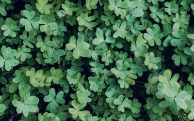 Expert Tactics To Avoid Paying Alimony