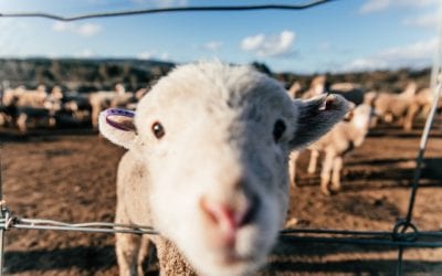 Common Child Custody Mistakes You Need to Avoid