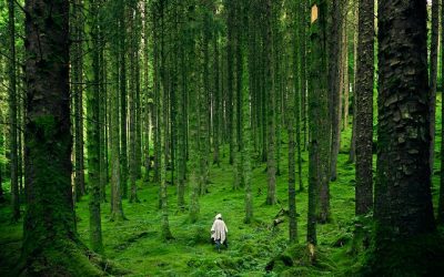 Differences Between Wrongful Death Claims and Other Personal Injury Claims