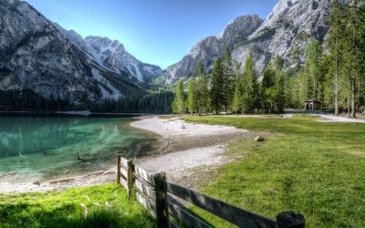 How Soon Should You Get a Lawyer After a Car Accident?