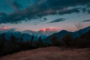 pexels-aarti-vijay-2693529