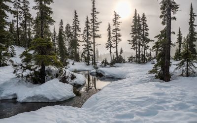 What Is A PPO For Worker’s Compensation?