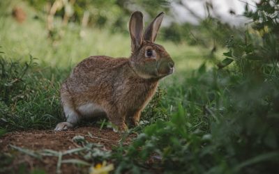 6 Financial Mistakes to Avoid During A Divorce