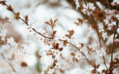 Will a Workers’ Compensation Claim Affect My Future Employment?