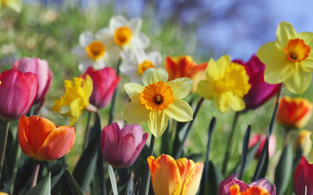 First-Time DUI vs Repeat Offense: Key Differences